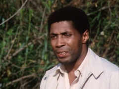 Herbert Jefferson Jr. as Agent Walden