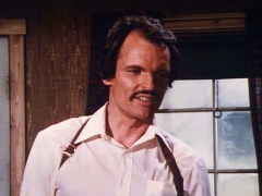 Jeffrey Josephson as Arnie