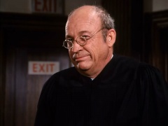 Ted Gehring as The Judge