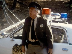 Troy Melton as Sheriff Snead