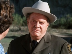 Sandy Ward as Sheriff Floyd