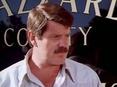 Ray Young as Dell Webber