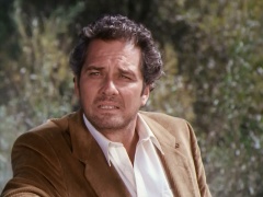 Brett Halsey as Carter