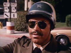 Don Pedro Colley as Sheriff Little