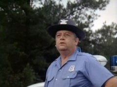 Bruce Atkins as Sheriff Roscoe Coltrane