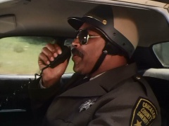 Don Pedro Colley as Sheriff Little