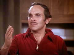 Ronnie Schell as Lester Starr